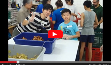 Family and Friends Bond During a Million Meals of HoPE Feeding Event in Singapore